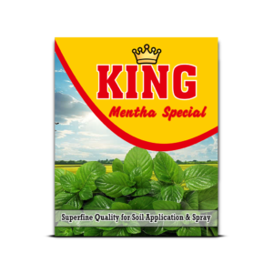 King Mentha Special