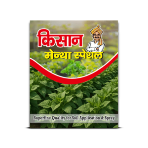 Kishan Mentha Special