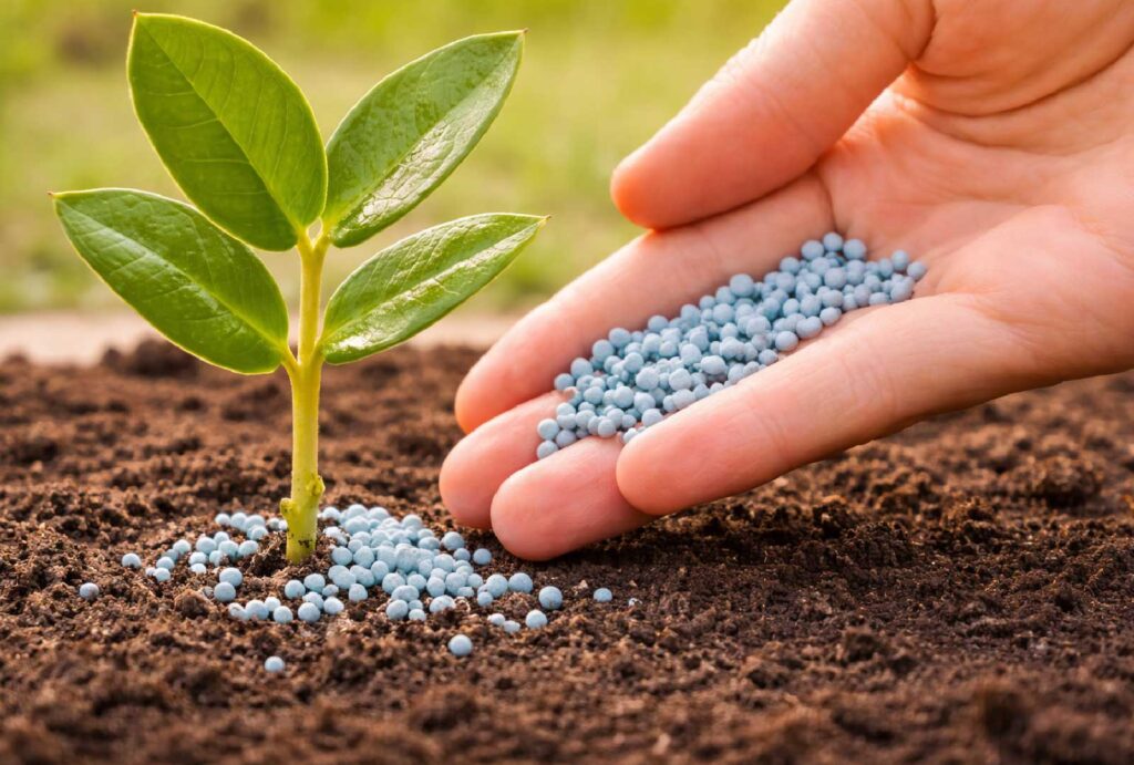 Agro Products Company India
