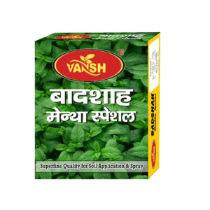 Vansh Badshah Mentha Special