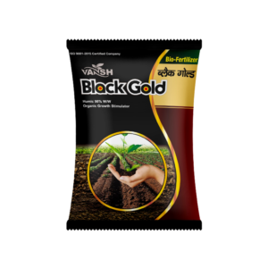 Vansh Black Gold