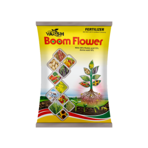 Vansh Boom Flower