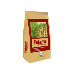 Vansh Futerra