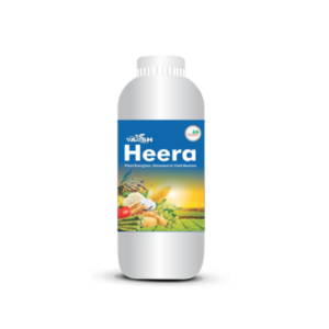 Vansh Heera