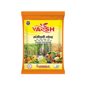 Vansh Sanjeevni Gold