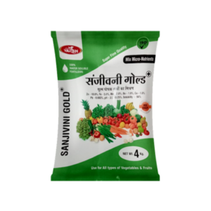 Vansh Sanjivini Gold