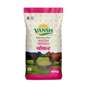 Vansh Multigrain Fortified Cokar