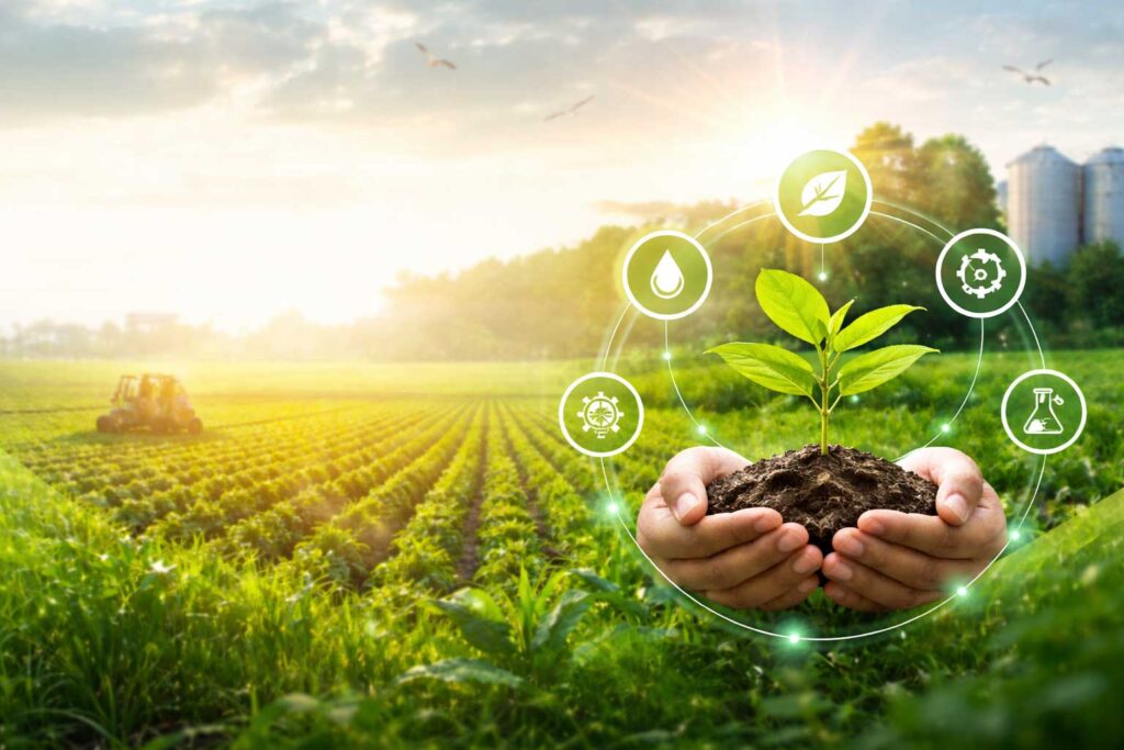 Bio Fertilizer Company